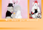 Wedding05_samp.jpg