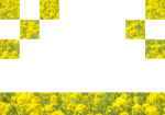 Flower02_b.png